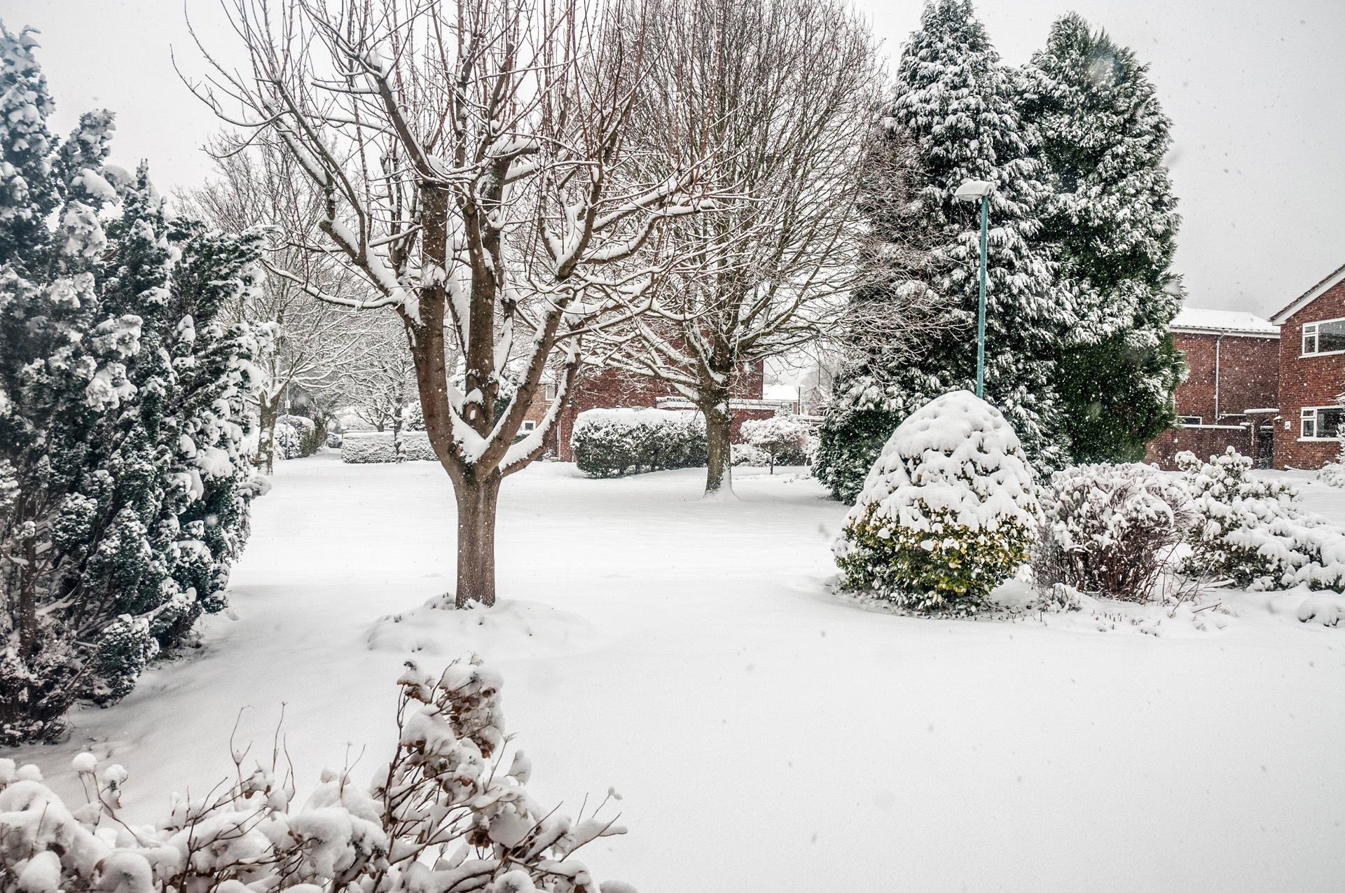 Um cenário de jardim com árvores e arbustos todos cobertos de neve - Cuidados do gramado no inverno