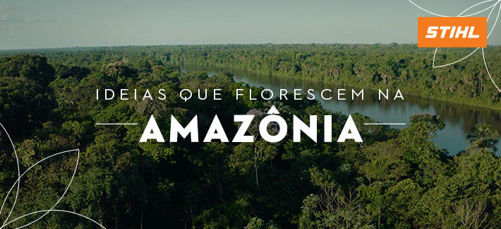 Imagem aerea da amazônia