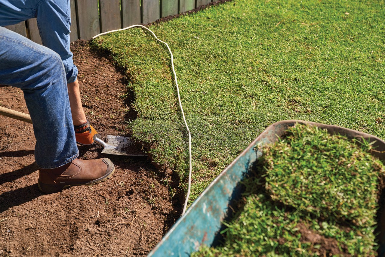 Como plantar perenes: uma pessoa cava um tapete de grama no jardim com uma pá de plantio para plantar um canteiro