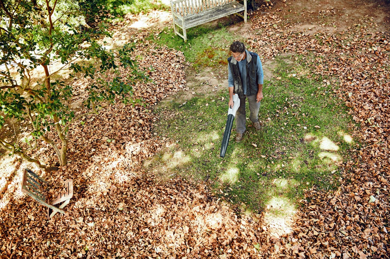 Vista superior de um homem a usar um soprador a bateria STIHL BGA 56 para limpar folhas num gramado grande