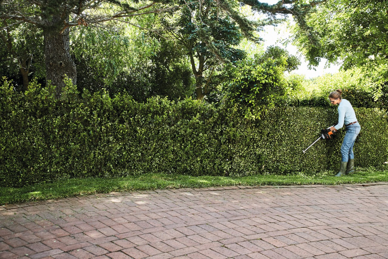 Uma mulher corta uma cerca viva/arbusto verde longa e alta com uma podadora a bateria STIHL HSA 56, com árvores altas atrás 