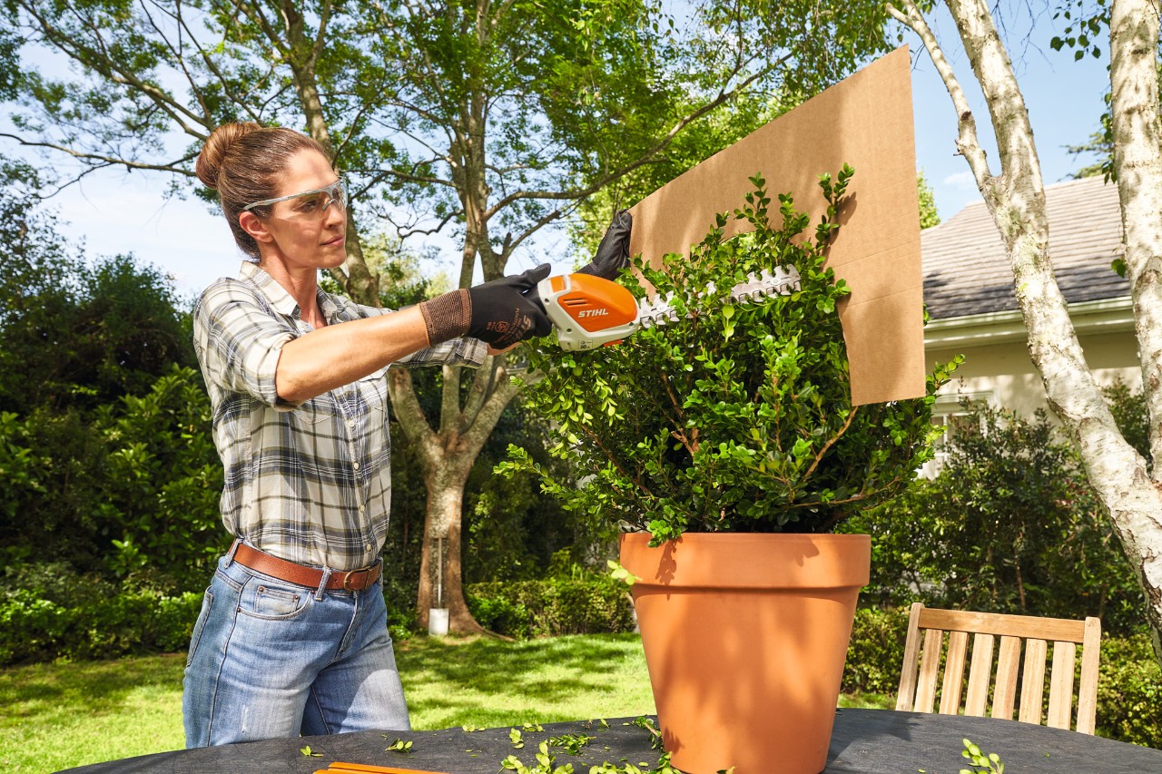 Uma mulher corta o buxo com a minipodadora a bateria STIHL HSA 26 recorrendo a um molde de cartão em forma de bola