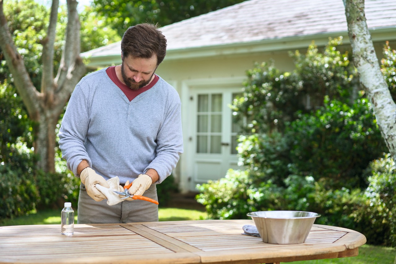 Um homem atrás de uma mesa de jardim a desinfectar uma tesoura de poda STIHL Bypass PG 10 com luvas de trabalho