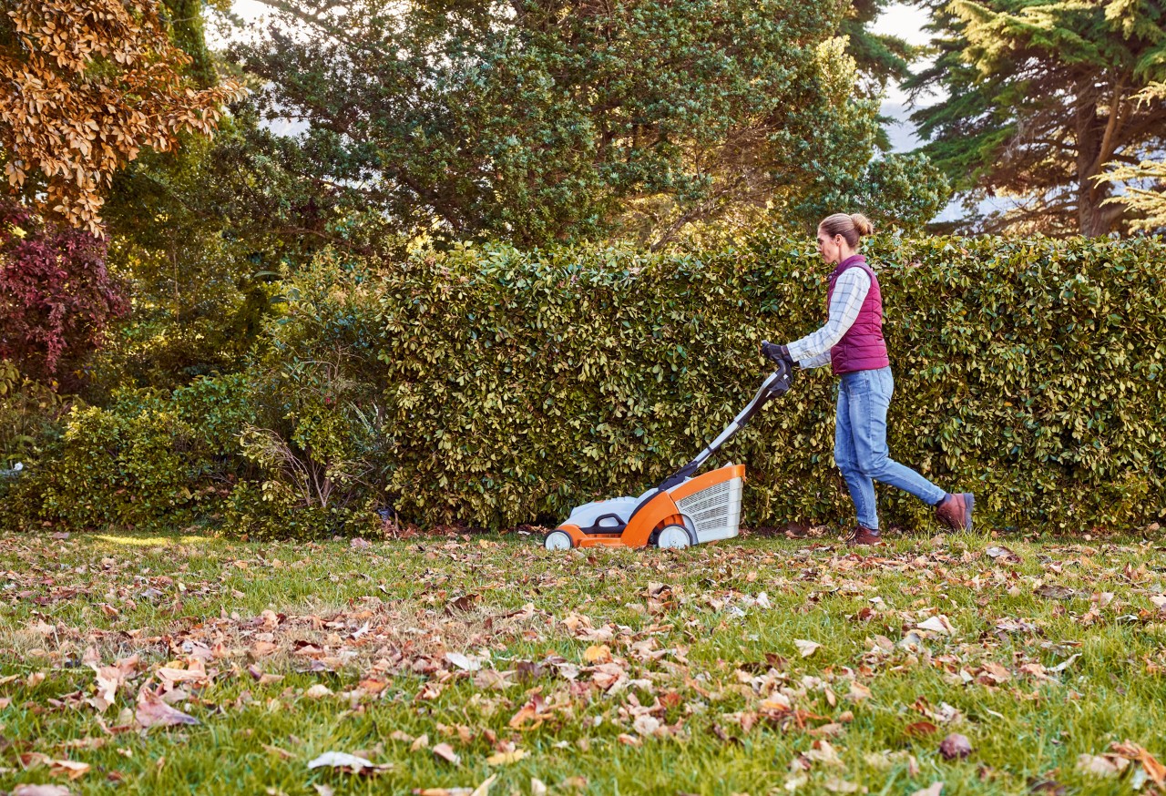 Mulher aplica os cuidados com a grama no outono ao cortar um gramado coberto de folhas com o cortador de grama STIHL RMA 339 C