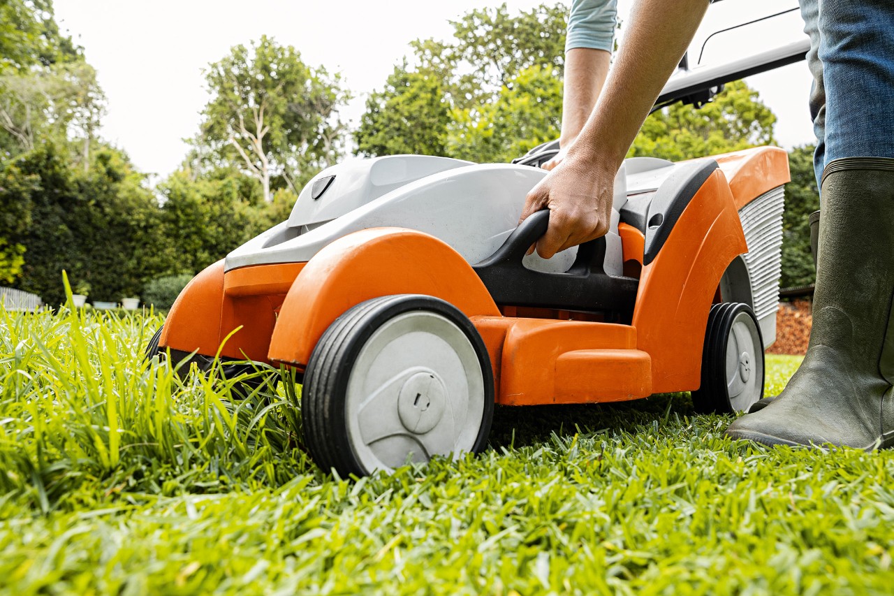 Um cortador de grama a bateria STIHL RMA 339 C num gramado parcialmente cortado, com as mãos de uma pessoa no cortador de grama para retirar o recolhedor