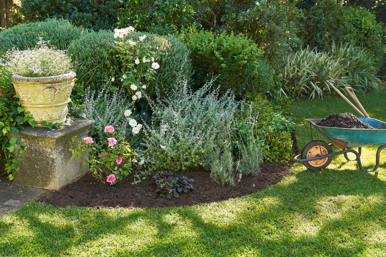 Canteiro com plantas de jardim que precisam de pouca água, um carrinho de mão com terra e utensílios de jardinagem