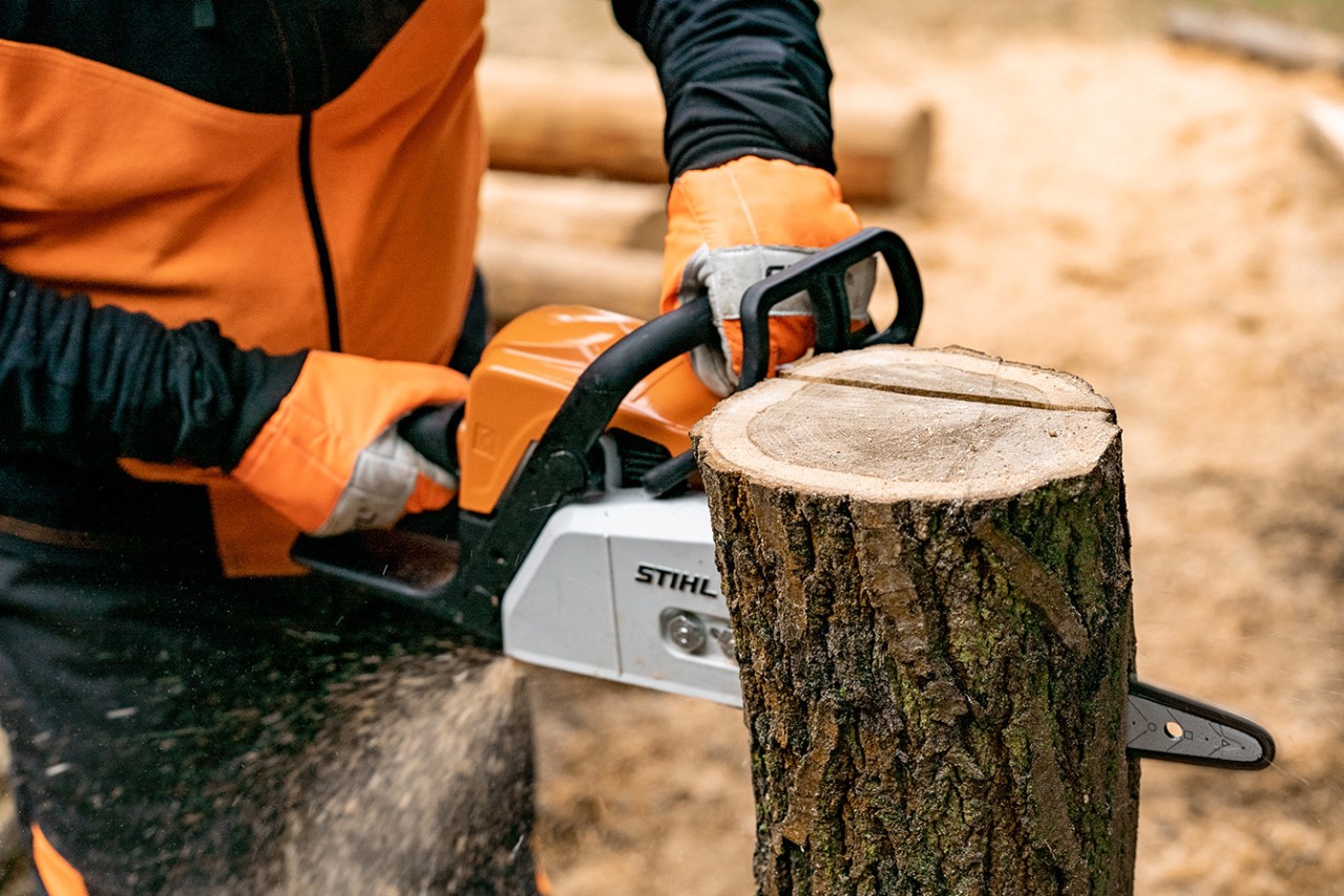 Fazer ornamento em forma de coração a partir de madeira: corte num tronco com motosserra a gasolina STIHL MS 170