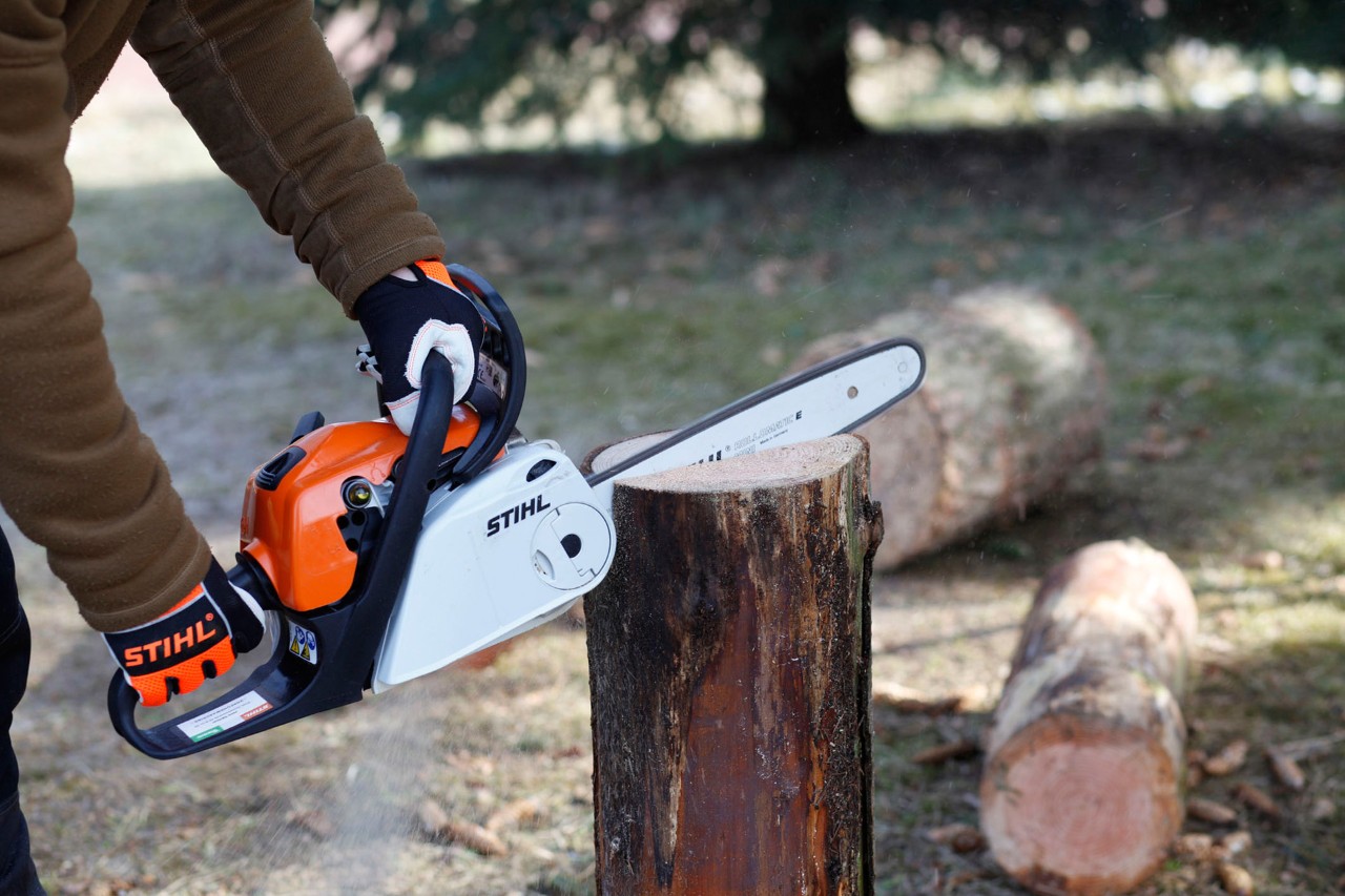 Dois troncos na vertical, um com motosserra a gasolina STIHL MS 181 C e outro com acendedores de churrasco - tocha sueca