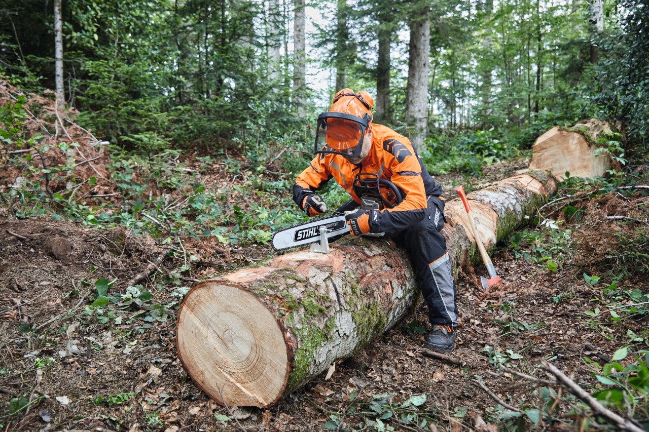 Um homem com equipamento de proteção a cortar uma árvore já abatida com uma motosserra STIHL com sabre maciço