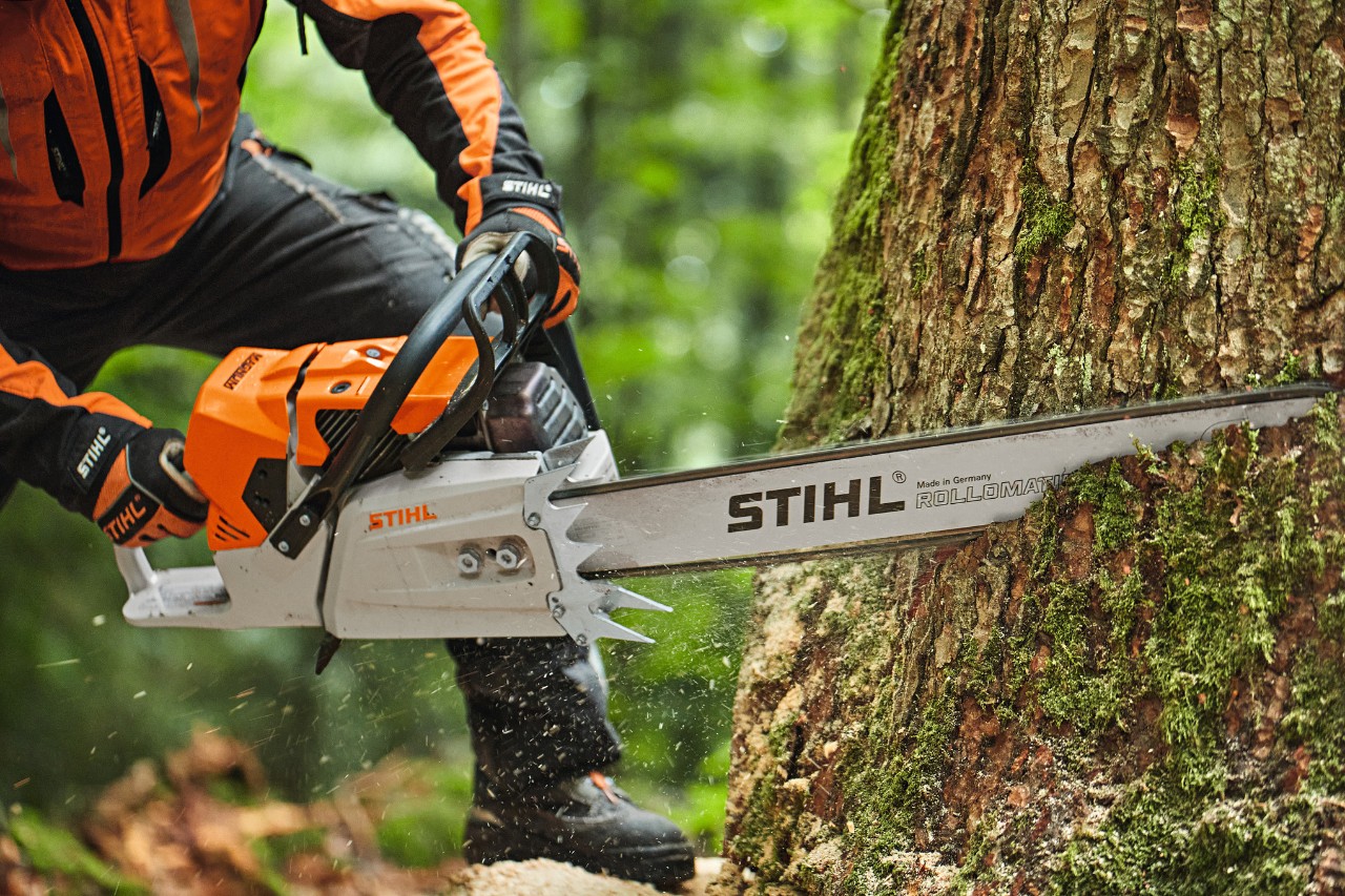 Uma pessoa a serrar uma árvore com uma motosserra a gasolina STIHL MS 881 com sabre com cabeça