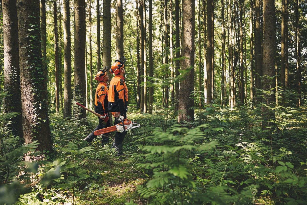 Dois homens em uma floresta com motosserras STIHL